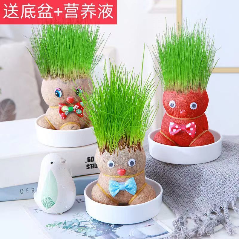 迷你卡通草头娃娃幸运草盆栽办公室绿植摆件幼儿园孩子创意小