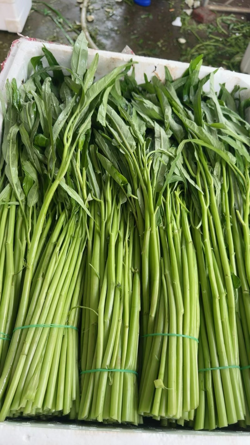 空心菜的季节，当季空心菜味道没得说一级棒，又嫩又香又脆，