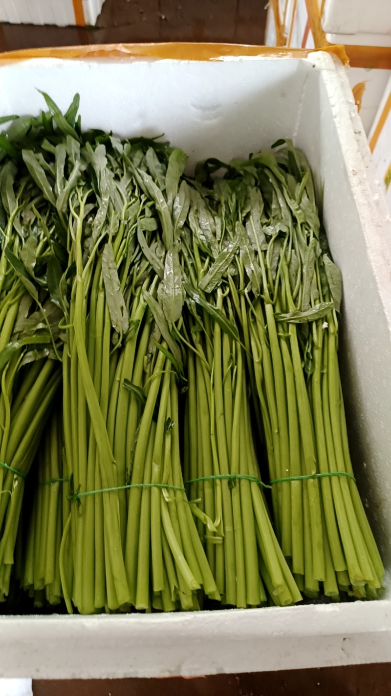 空心菜的季节，当季空心菜味道没得说一级棒，又嫩又香又脆，