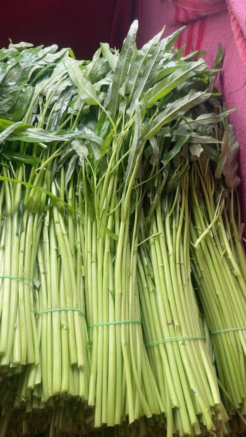 空心菜的季节，当季空心菜味道没得说一级棒，又嫩又香又脆，
