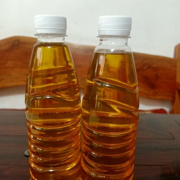 自家的白花细果山茶油