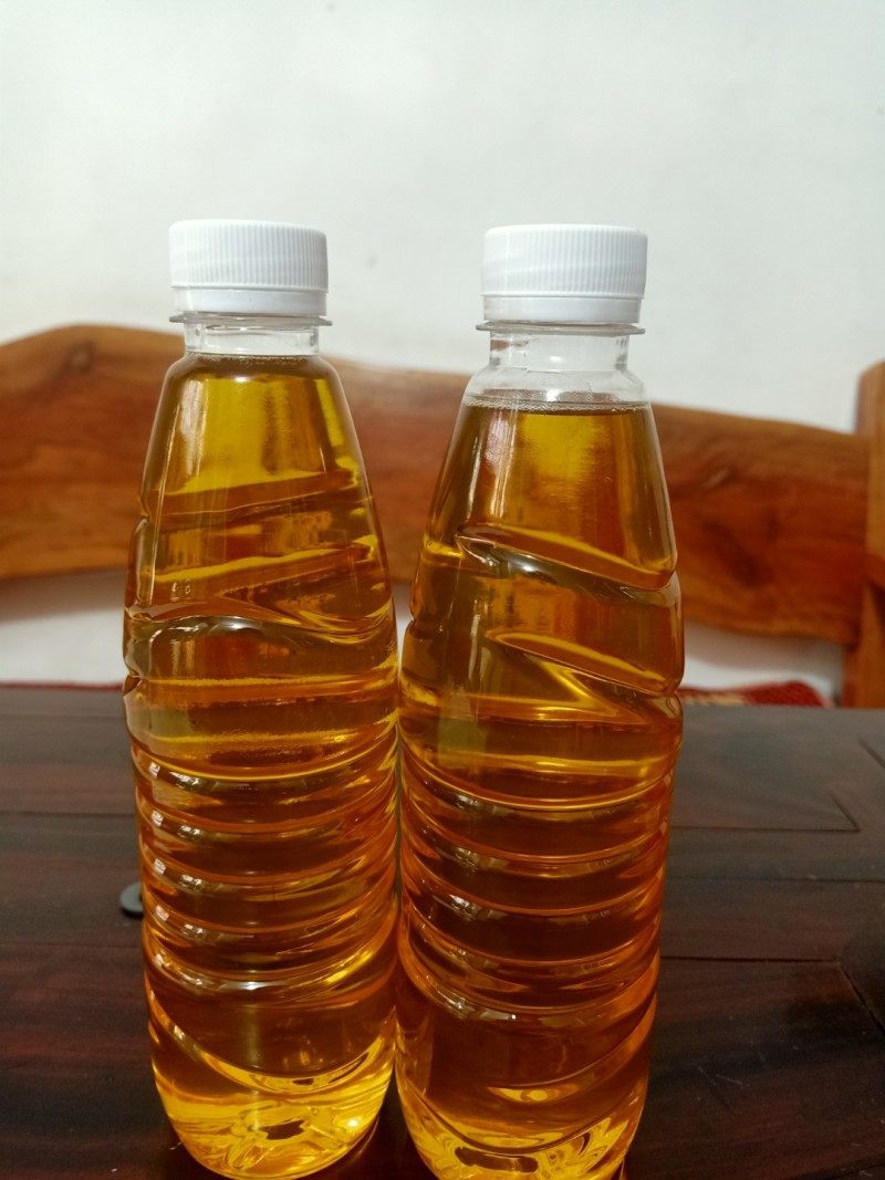 自家的白花细果山茶油