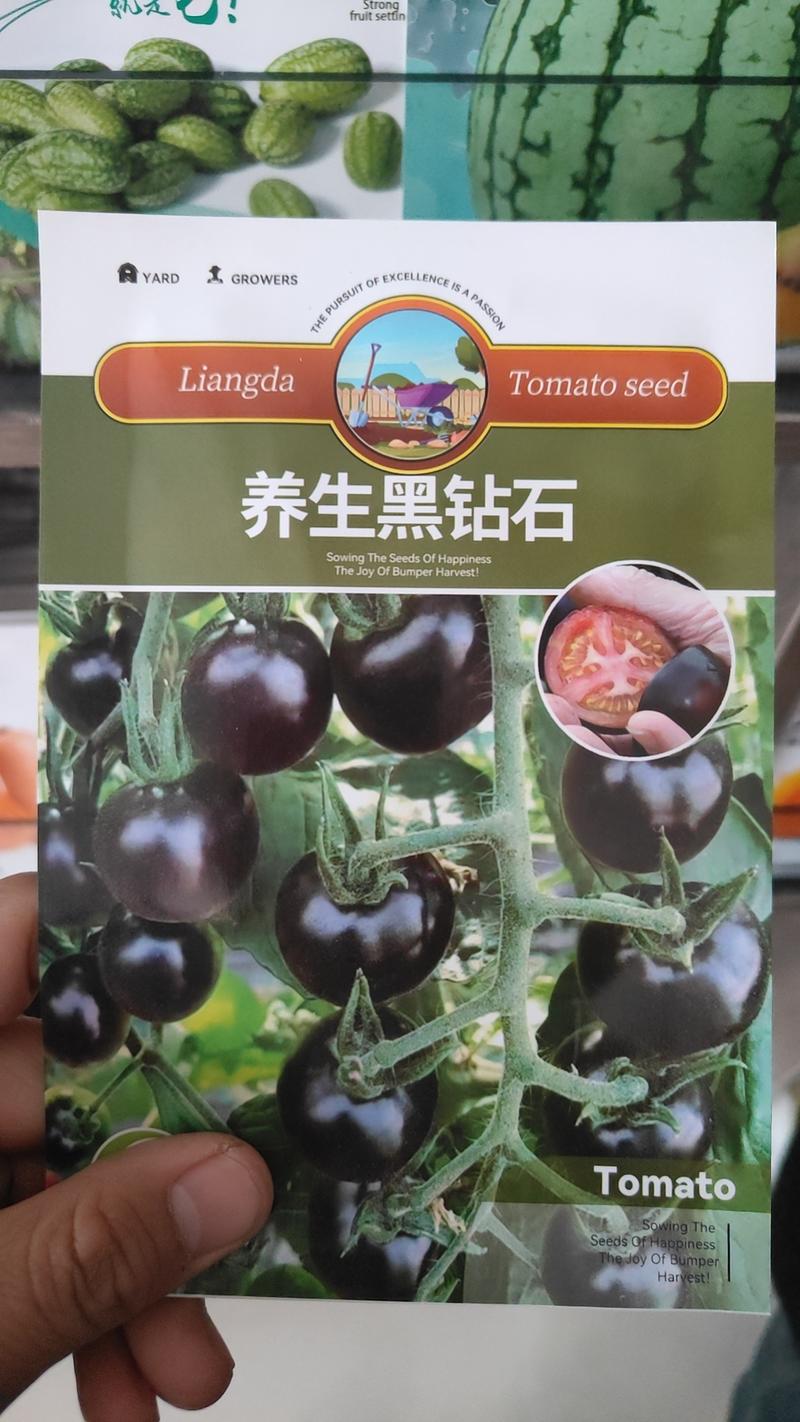 养生黑钻石黑番茄种子口感甜度高12口味独特味美