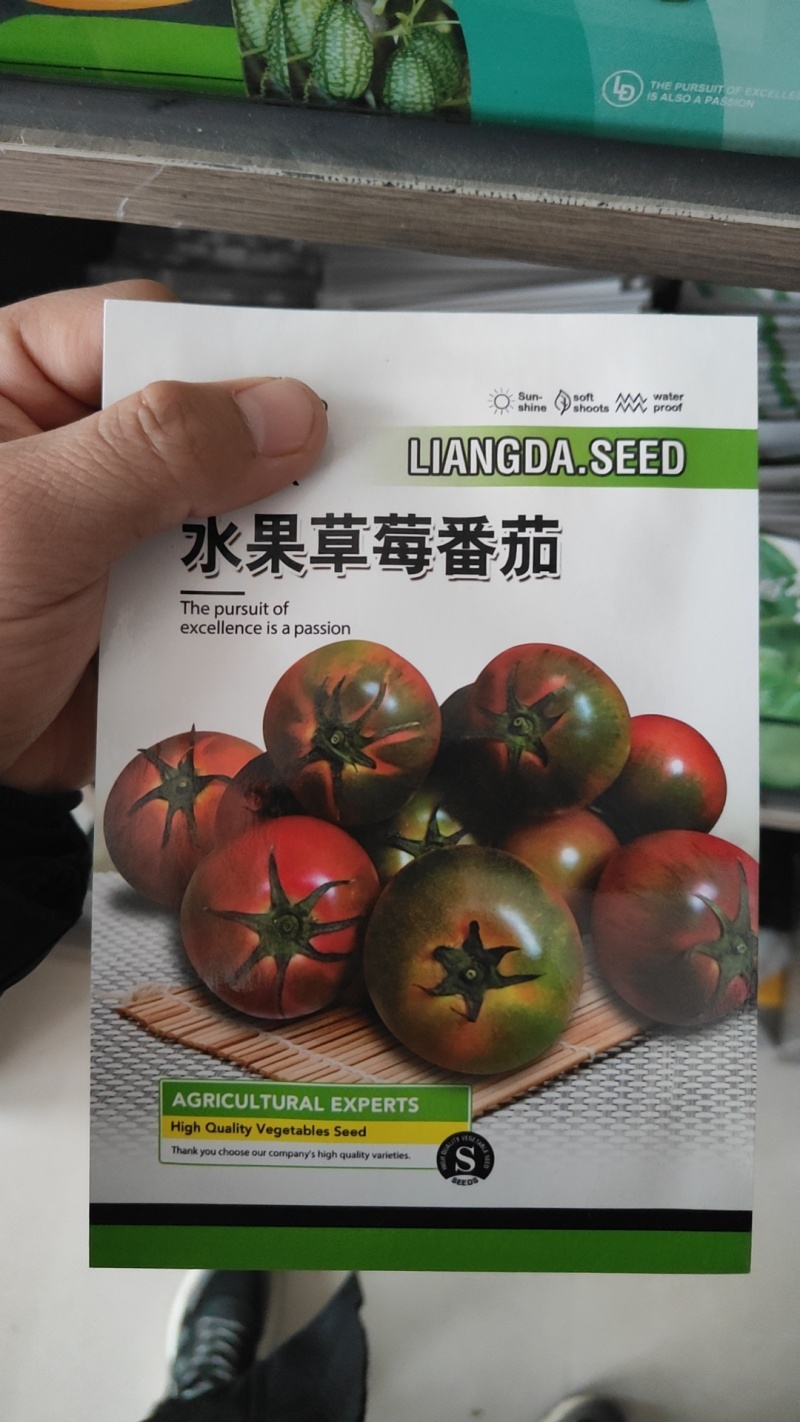 水果番茄种子口感细腻甜嫩多汁绿肩番茄品质好耐储运