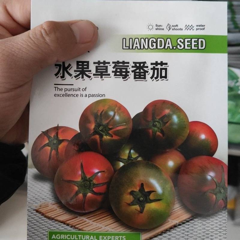 水果番茄种子口感细腻甜嫩多汁绿肩番茄品质好耐储运
