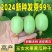 金童玉女黄瓜种子口感甜脆多汁果型好产量高坐果能力强