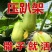 金童玉女黄瓜种子口感甜脆多汁果型好产量高坐果能力强