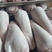 山东滨州精品国产牛舌不注水不调理，保质保量可视频看货