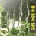 蛇豆种子蛇瓜长度长香味浓郁肉质厚口感好条形顺直耐储运
