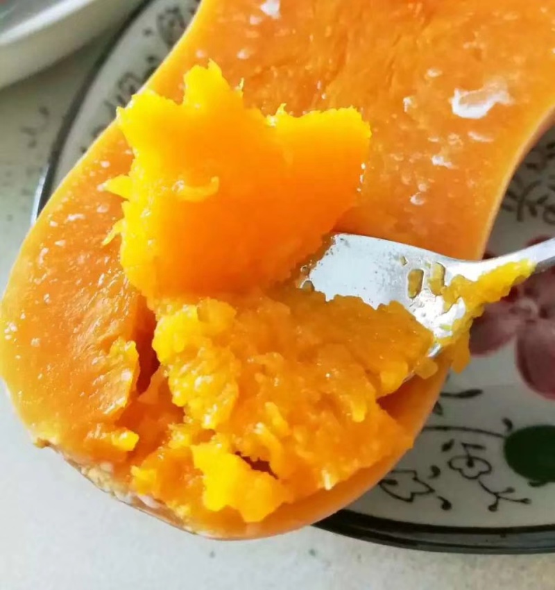 奶油南瓜种子清香爽口软嫩香甜香甜软糯口感好易坐果产量高