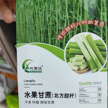 北方甜杆水果甘蔗种子汁多甜脆杆直传统甜杆抗性好产量高