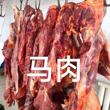 内蒙古草原马肉，国产纯干货，欢迎采购商采购各种马副产品