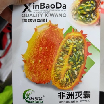 高品质火参果火星果种子刺角瓜果成熟金黄色口感好特色