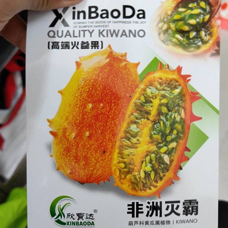 高品质火参果火星果种子刺角瓜果成熟金黄色口感好特色