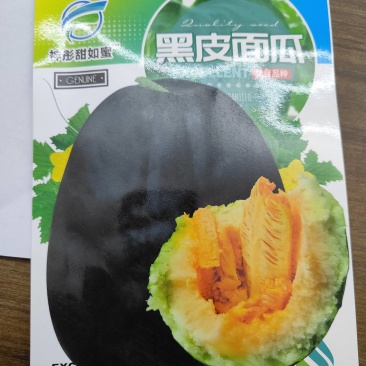 黑皮面瓜种子纯黑皮结的多瓤色酥软口感好红肉干面红壤好吃