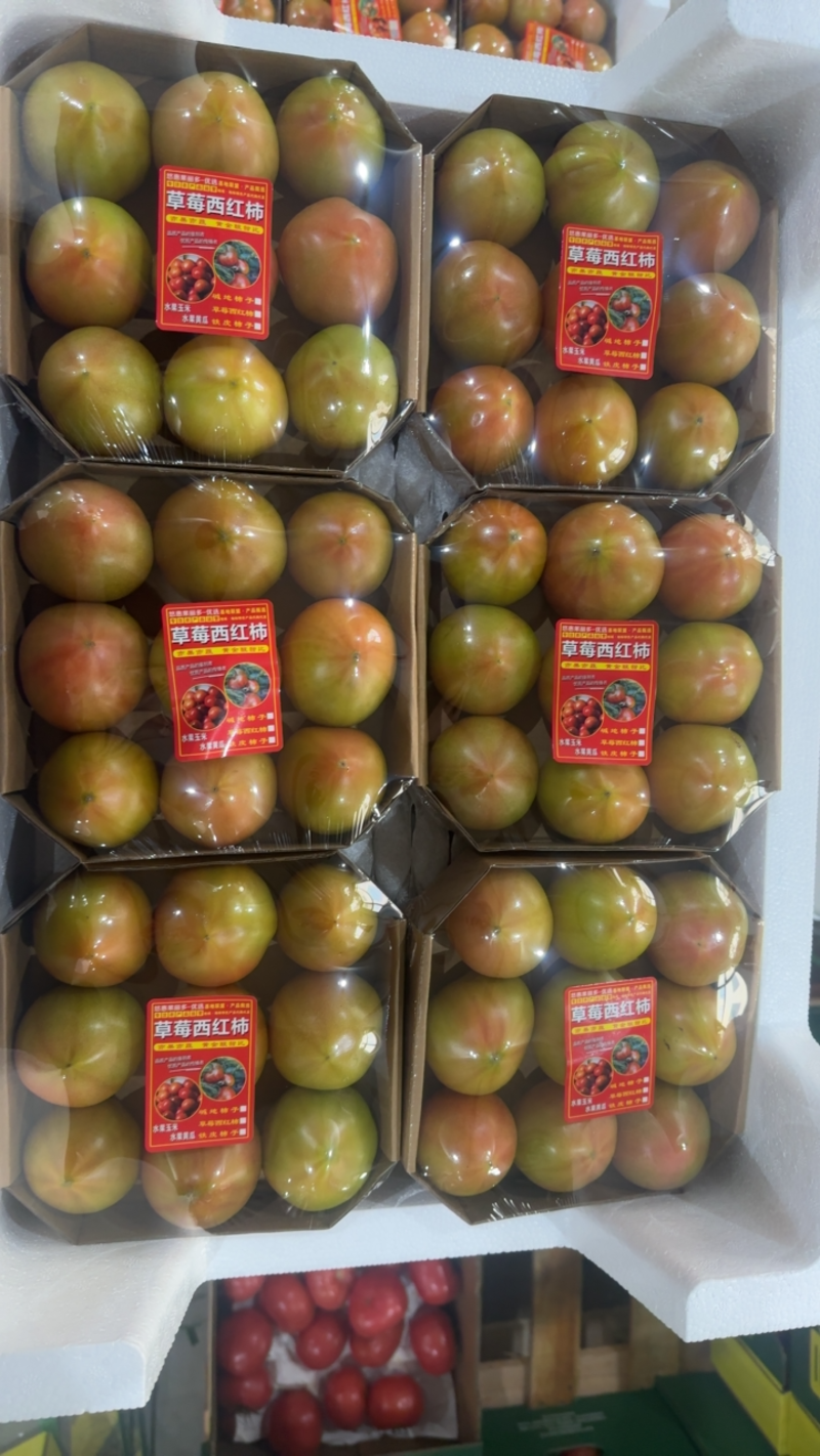 无土栽培草莓柿子产地直发全国供货四季供应