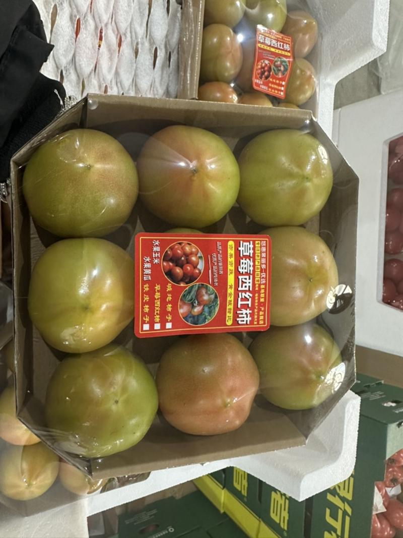 无土栽培草莓柿子产地直发全国供货四季供应