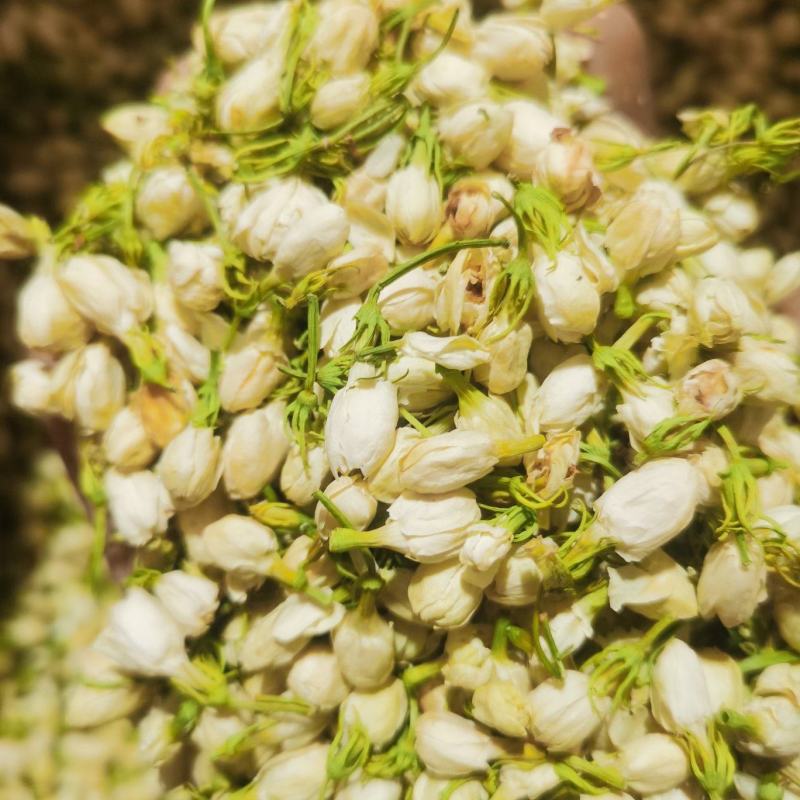 茉莉花新货喝用茉莉花泽润中药批发零售各种中药