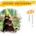 包邮天目山笋干干货农家500g鲜嫩笋尖干笋特扁尖笋小竹笋