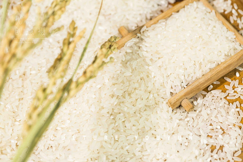 自家种植大米