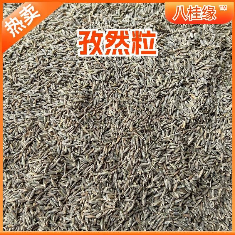 孜然新疆吐鲁番大颗粒孜然烤羊烧烤调料香料批发大全