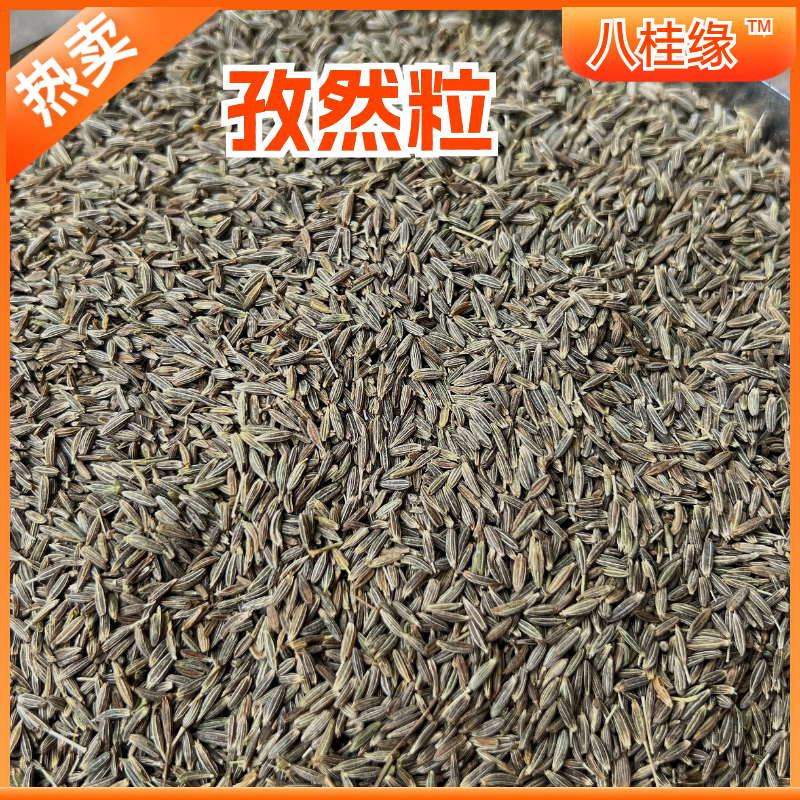 孜然新疆吐鲁番大颗粒孜然烤羊烧烤调料香料批发大全