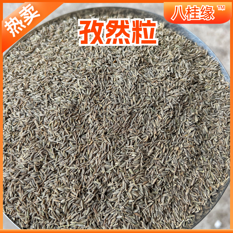 孜然新疆吐鲁番大颗粒孜然烤羊烧烤调料香料批发大全