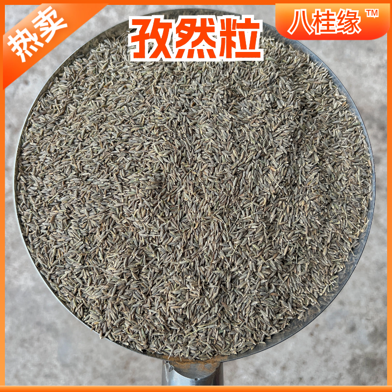 孜然新疆吐鲁番大颗粒孜然烤羊烧烤调料香料批发大全