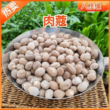 肉蔻广西肉豆蔻中药材肉扣玉果香果火锅调料香料批发大全