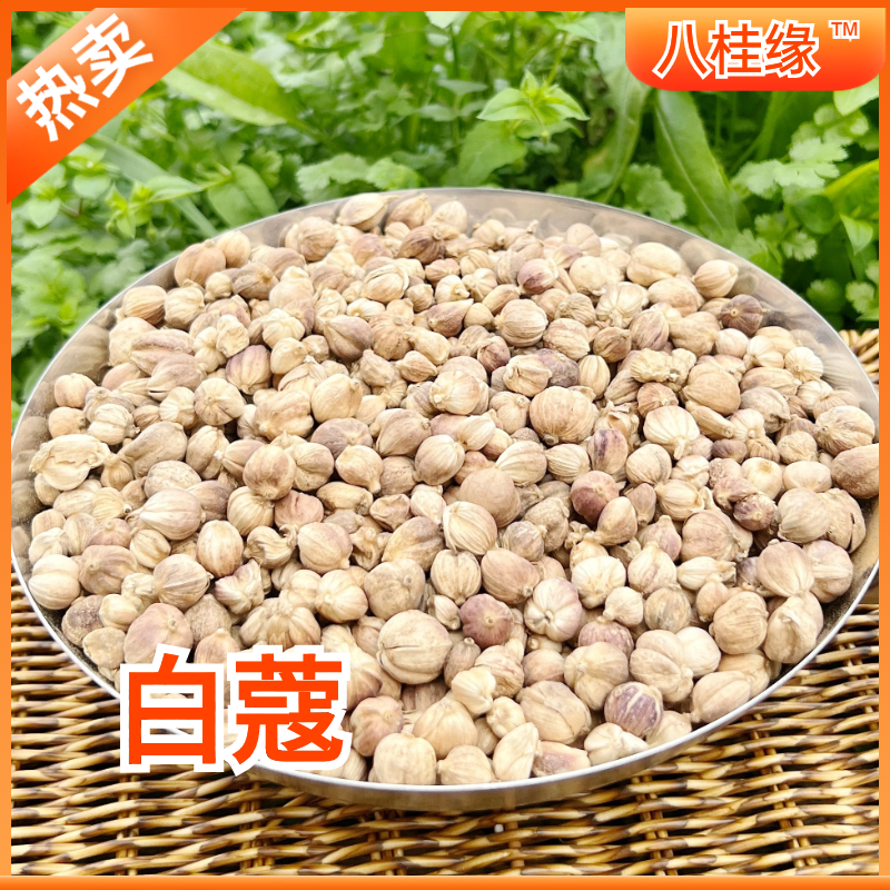 全干白蔻广西特产白蔻仁白扣白豆蔻火锅调料香料批发大全