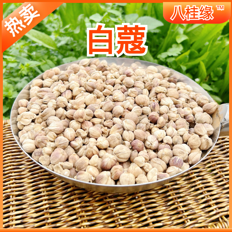 全干白蔻广西特产白蔻仁白扣白豆蔻火锅调料香料批发大全