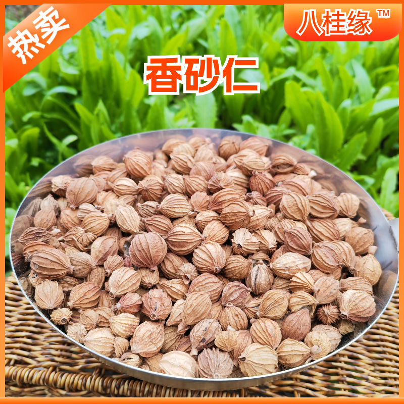 香砂优质香砂仁中药材调料卤料炖肉火锅香料批发大全