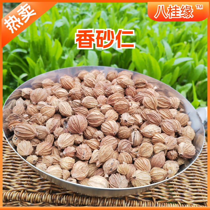 香砂优质香砂仁中药材调料卤料炖肉火锅香料批发大全