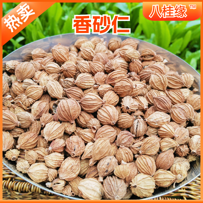 香砂优质香砂仁中药材调料卤料炖肉火锅香料批发大全