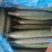河北石家庄藁城精品油亮密刺黄瓜大量上市口感**