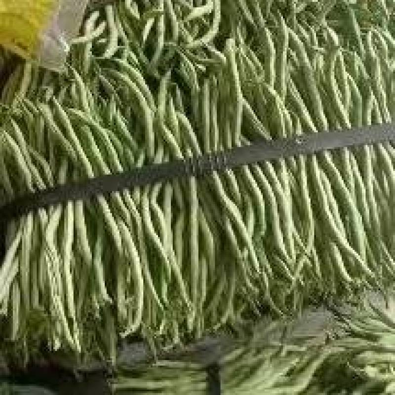 无茎豆，万亩豆王大量上市，每天价格随行