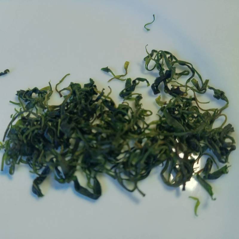 小叶苦丁茶