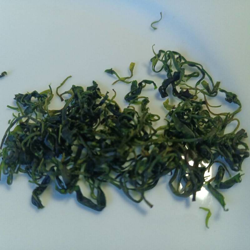 小叶苦丁茶