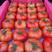 大红串果西红柿大量上市，有岀口经验！常年发新疆。全国各地