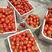 大红串果西红柿大量上市，有岀口经验！常年发新疆。全国各地