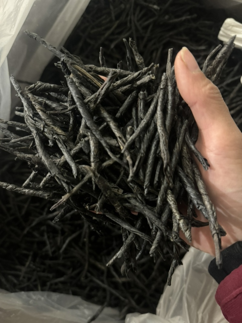 苦丁大叶苦丁苦丁茶实拍苦丁一手货源