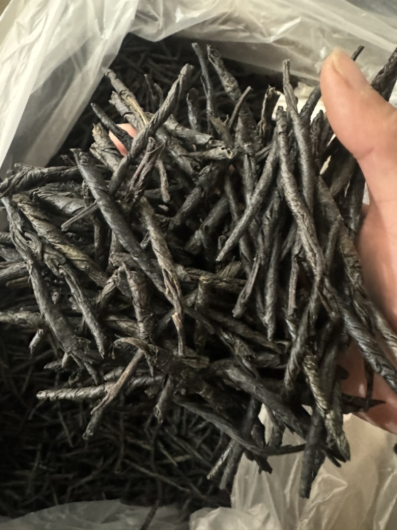 苦丁大叶苦丁苦丁茶实拍苦丁一手货源