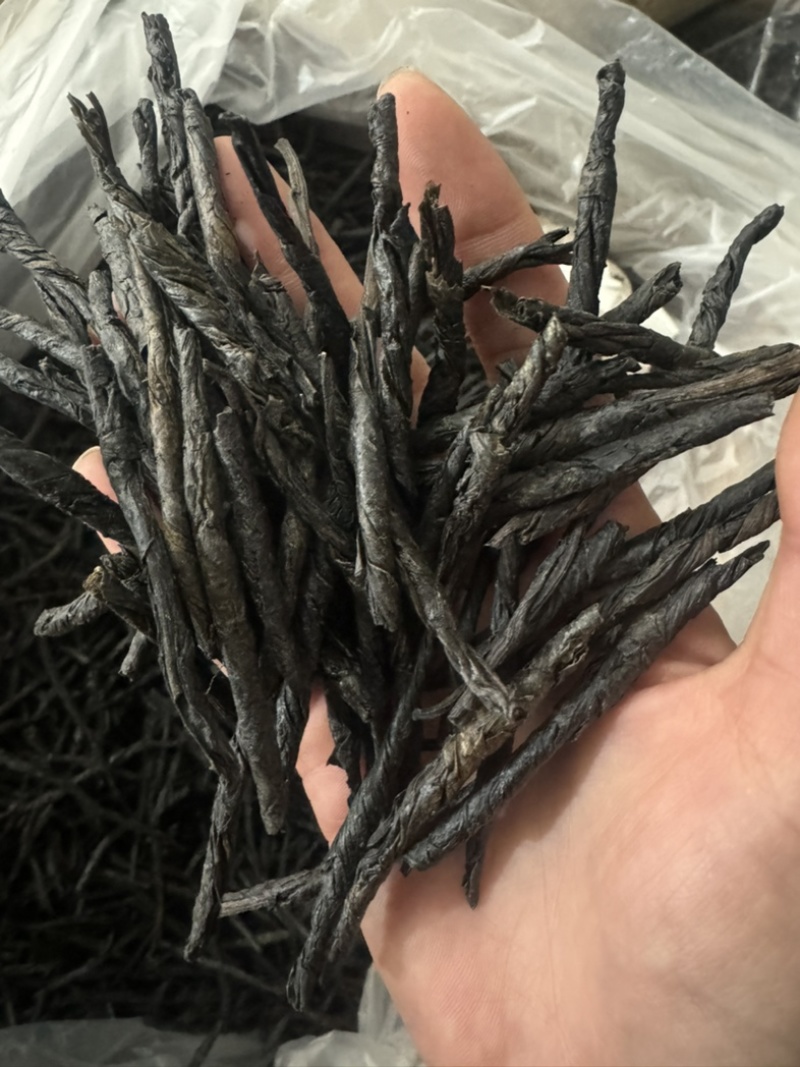 苦丁大叶苦丁苦丁茶实拍苦丁一手货源