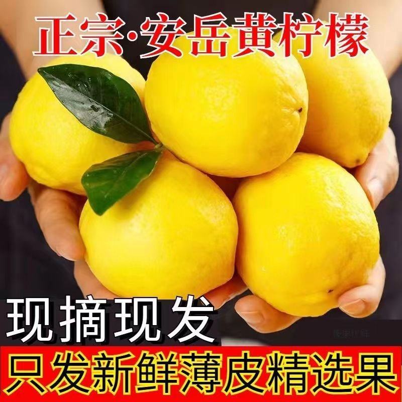 安岳黄柠檬水果当季新鲜水果整箱批发薄皮精选柠檬果子
