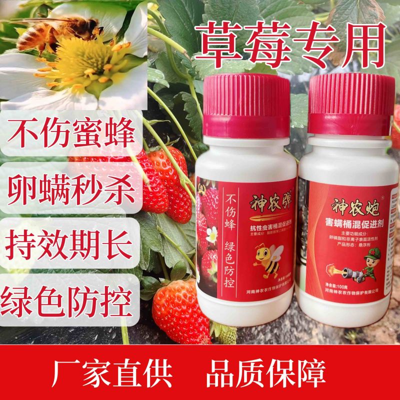专打草莓抗性红蜘，黄蜘蛛，蓟马，卵磷脂+脂肪醇聚乙烯醚