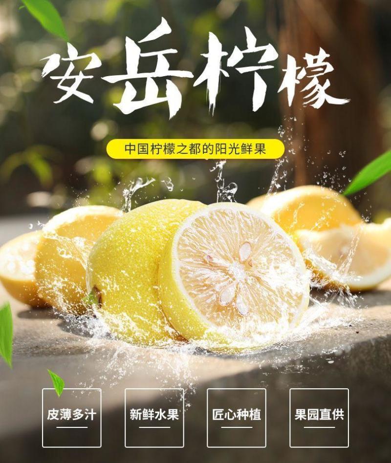 安岳黄柠檬水果当季新鲜水果整箱批发薄皮精选柠檬果子