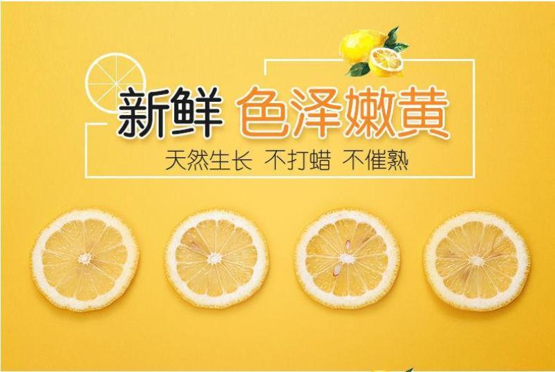 安岳黄柠檬水果当季新鲜水果整箱批发薄皮精选柠檬果子