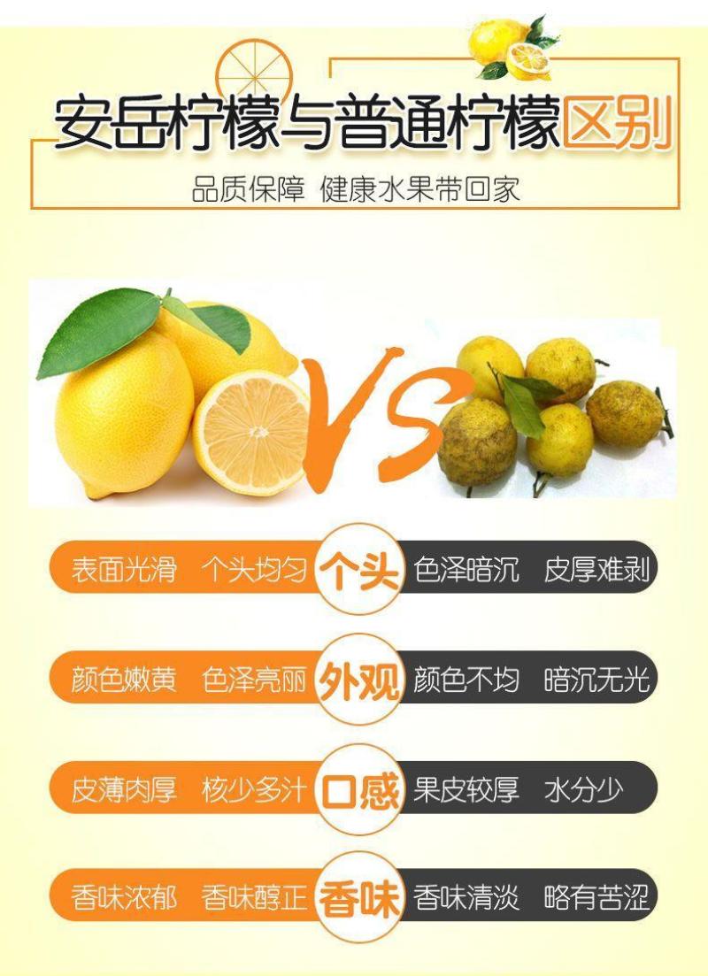 安岳黄柠檬水果当季新鲜水果整箱批发薄皮精选柠檬果子