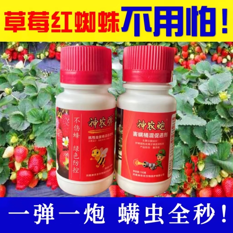 专打草莓抗性红蜘，黄蜘蛛，蓟马，卵磷脂+脂肪醇聚乙烯醚