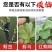 专打草莓抗性红蜘，黄蜘蛛，蓟马，卵磷脂+脂肪醇聚乙烯醚